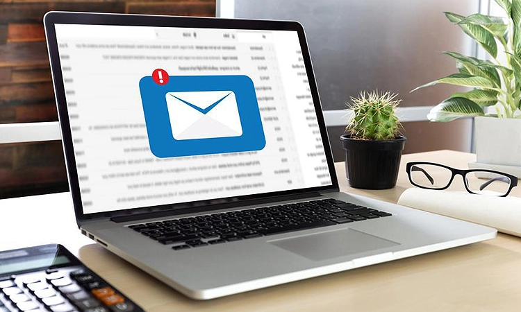 Domain Registration Saudi Arabia